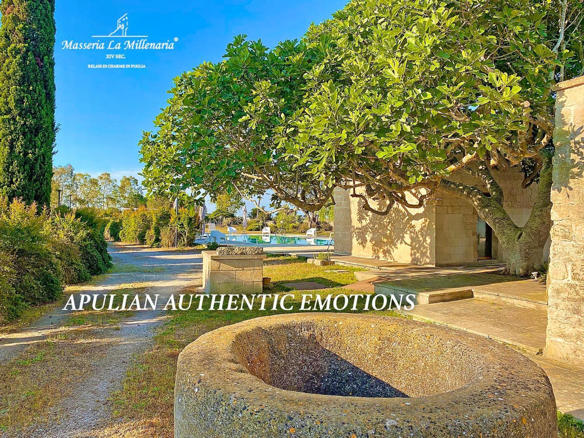 Masseria La Millenaria San Foca Zewnętrze zdjęcie